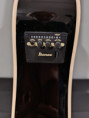 /album/chitarra-acustica-elettrificata-ibanez-alt50fa-rdb/whatsapp-image-2026-10-09-at-17-04-28-1-jpeg/